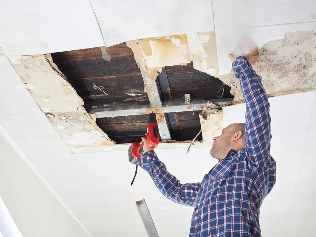 roof and ceiling repairs Houston tx